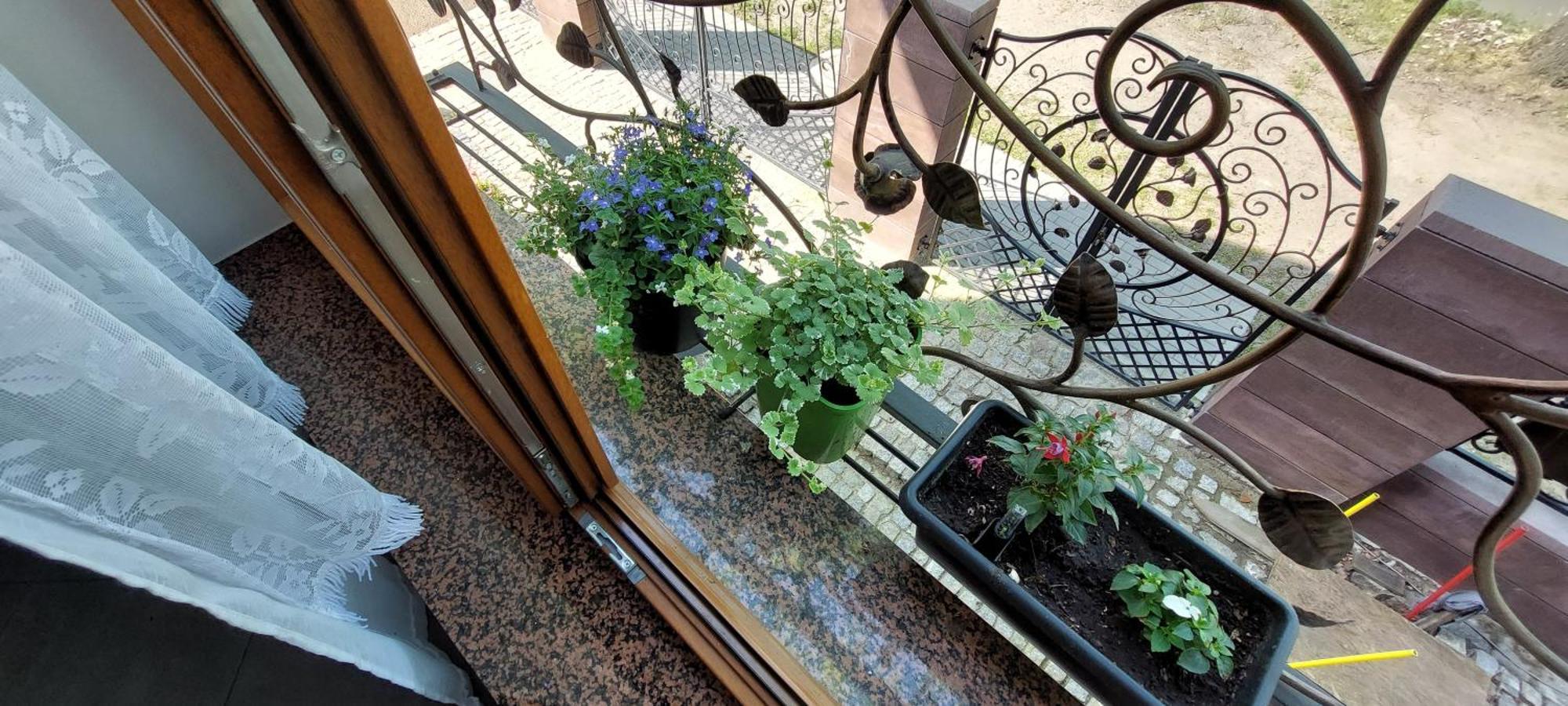 La Brigitte Apartment Hennigsdorf Phòng bức ảnh